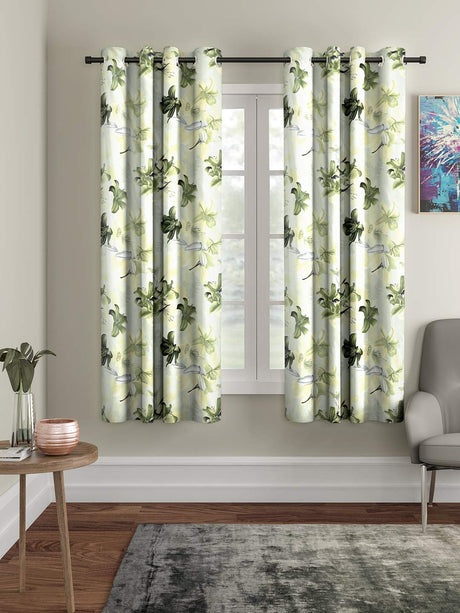 Window Curtains