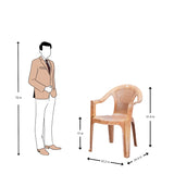 Settle Lite Arm Plastic Chair - Teakwood